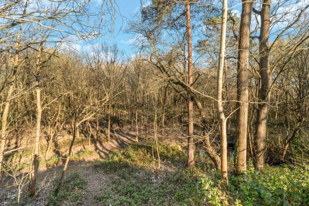 Strawberry Fields, Addlestone, KT15, photo 21