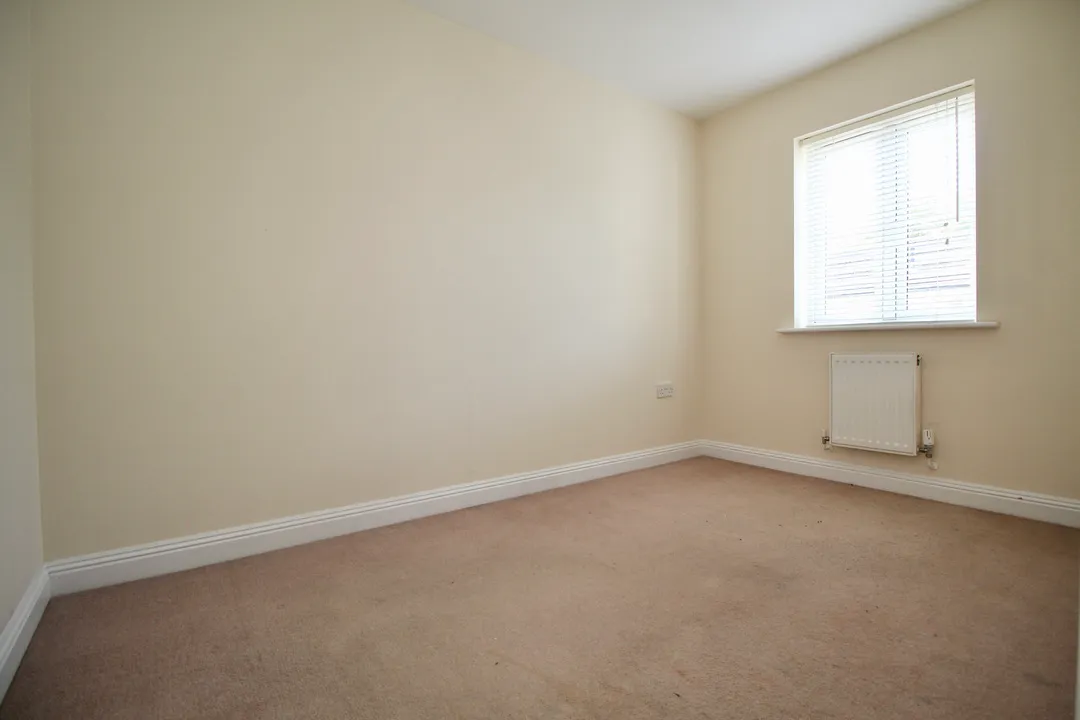 Buttercup Lane, Street, photo 15