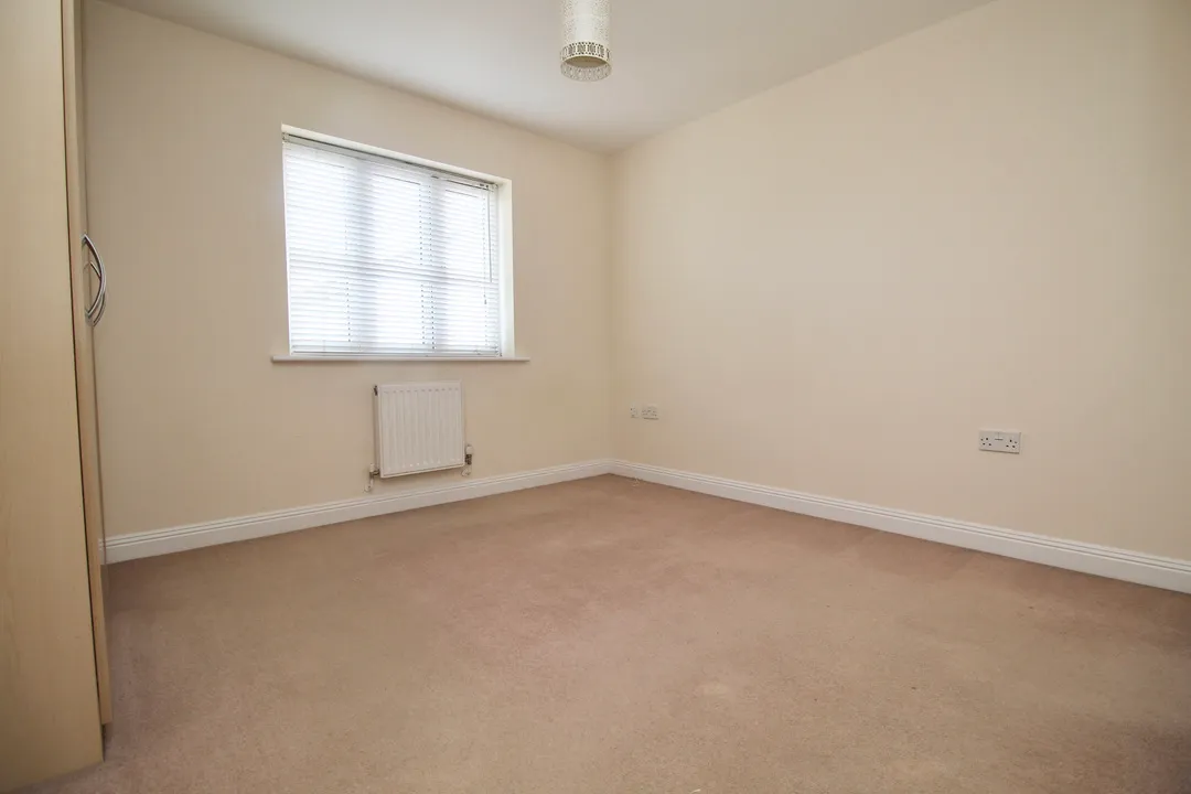 Buttercup Lane, Street, photo 12