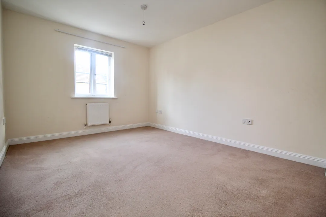 Buttercup Lane, Street, photo 14