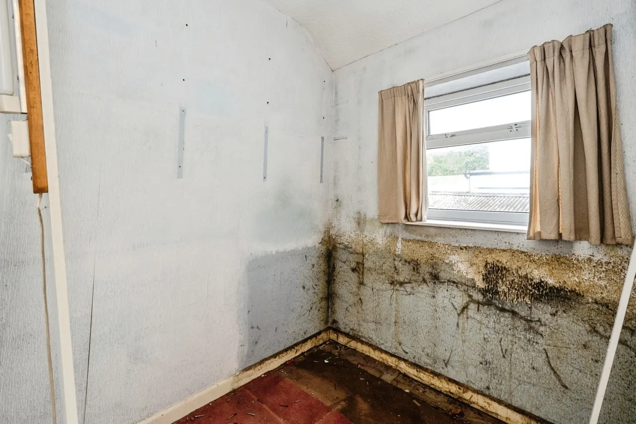 Pentregethin Road, Gendros, SA5, photo 19