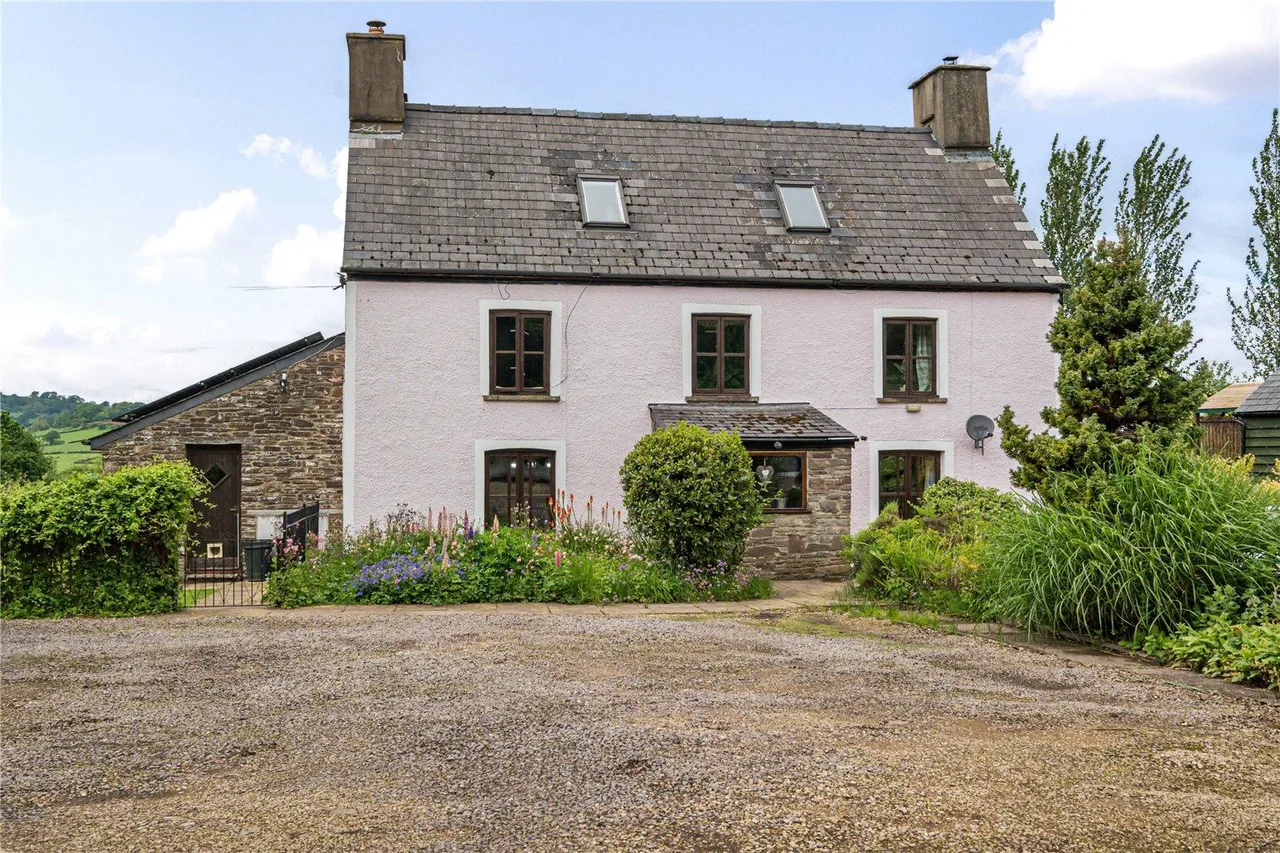 Llangorse, Brecon, photo 28