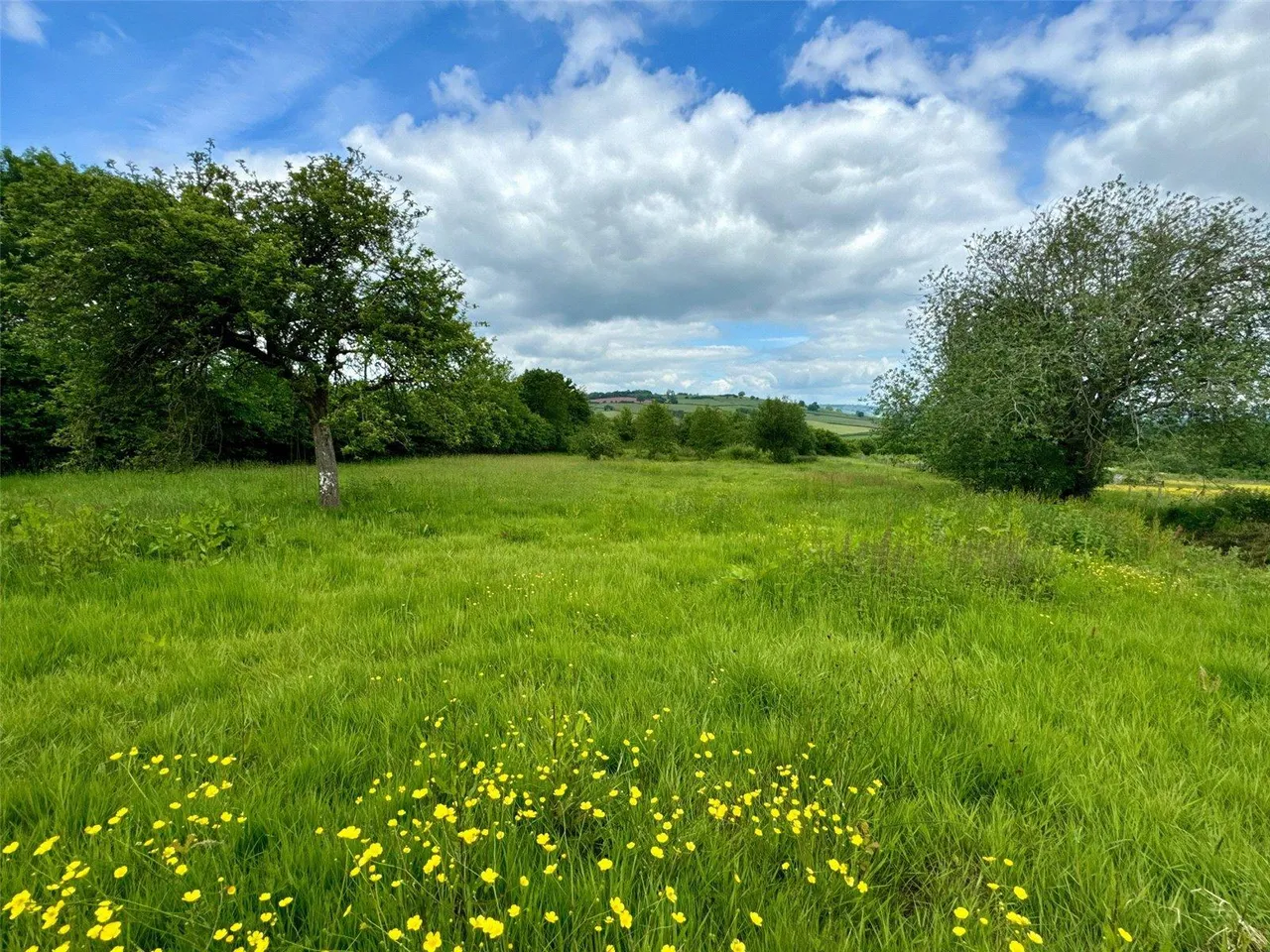 Llangorse, Brecon, photo 27