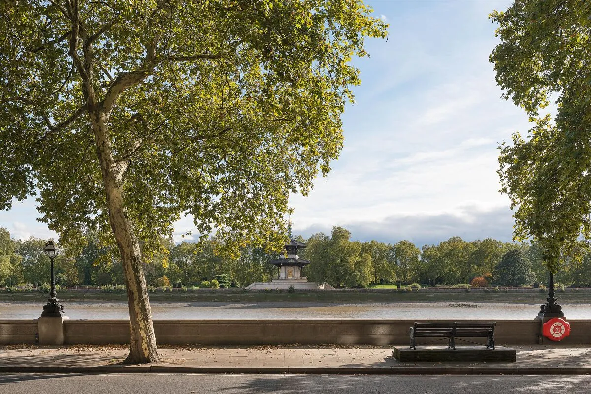 Chelsea Embankment, London, SW3, photo 15