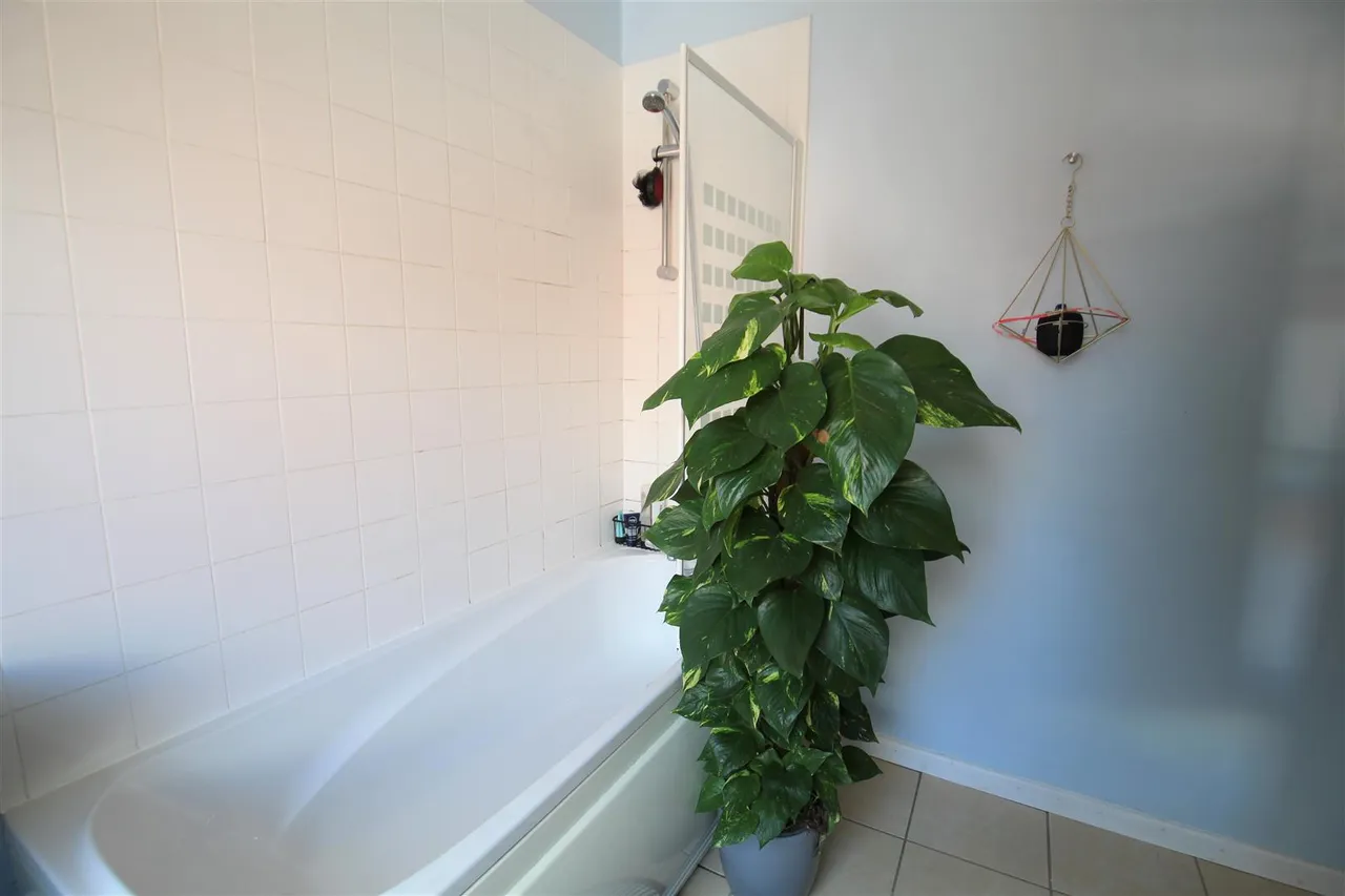 John Street, Hyde Park, LS6, photo 7