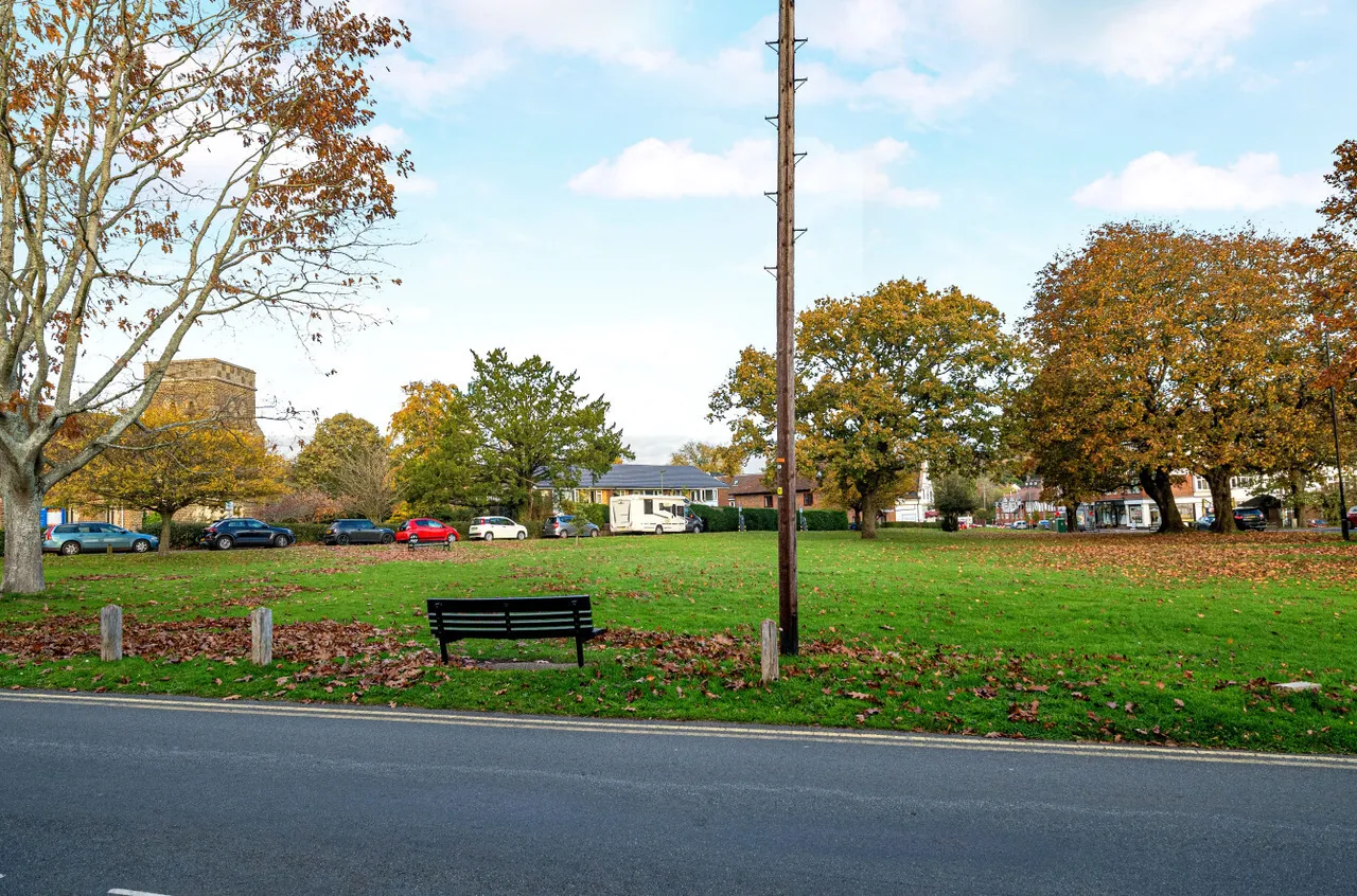 St Christophers Green, Haslemere, GU27, photo 11
