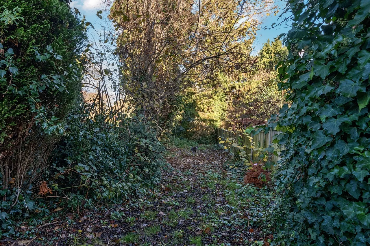 St Johns Terrace, Enfield, photo 2