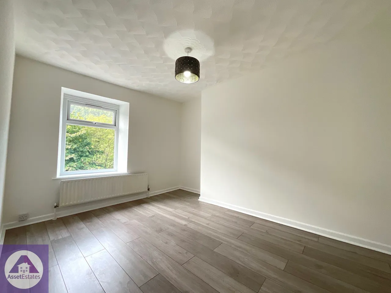 Oak Street, Abertillery, photo 17