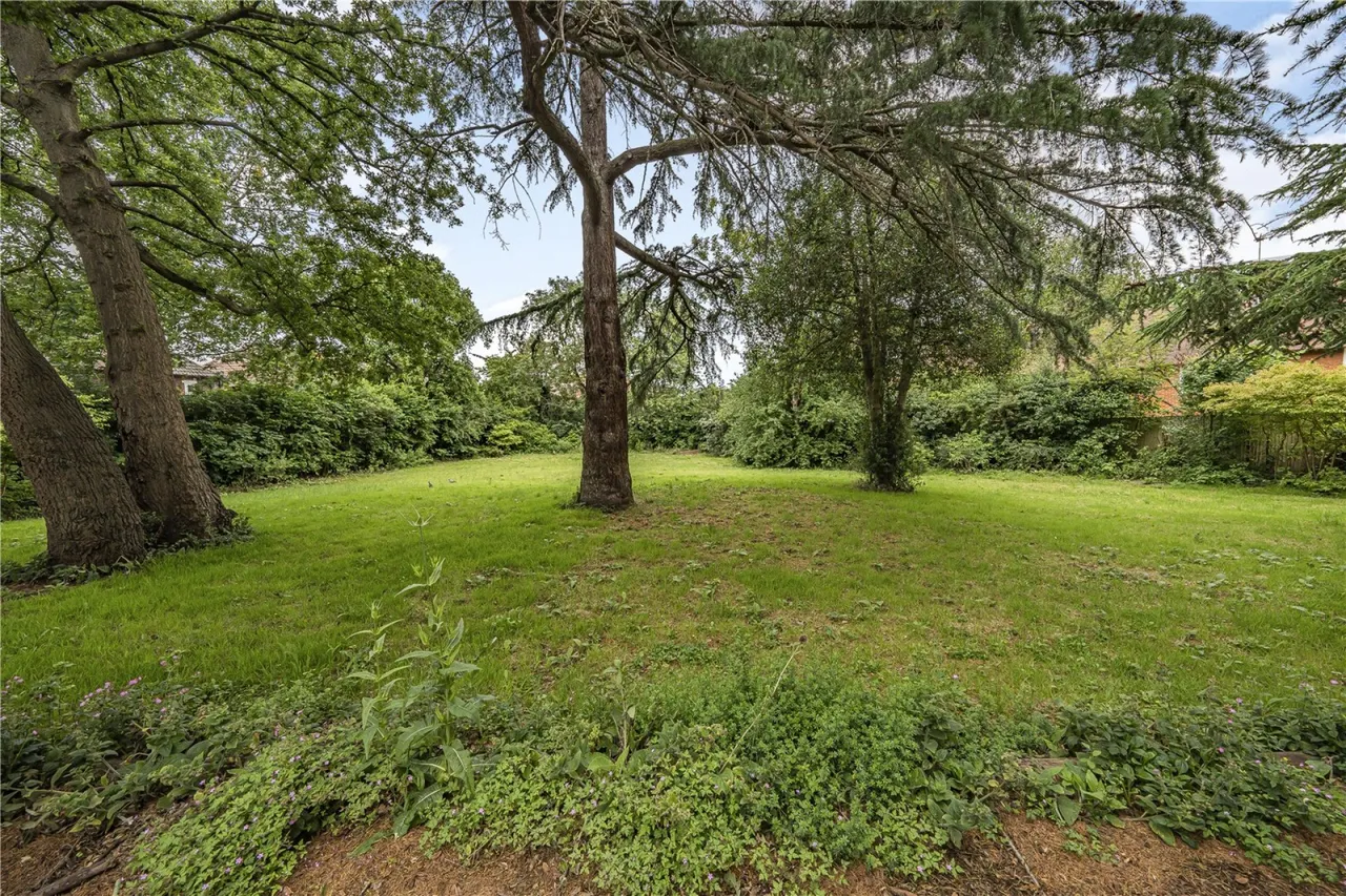 Pleasance Road, London, photo 10