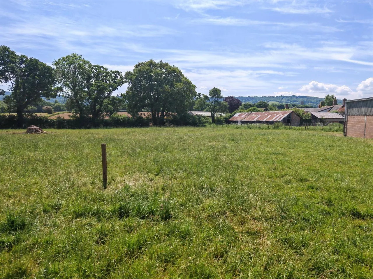 West Buckland, Wellington, photo 10