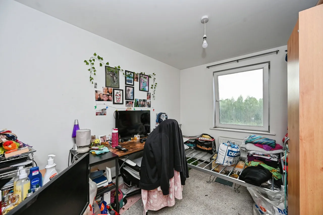 Lower Hall Street, St. Helens, WA10, photo 13