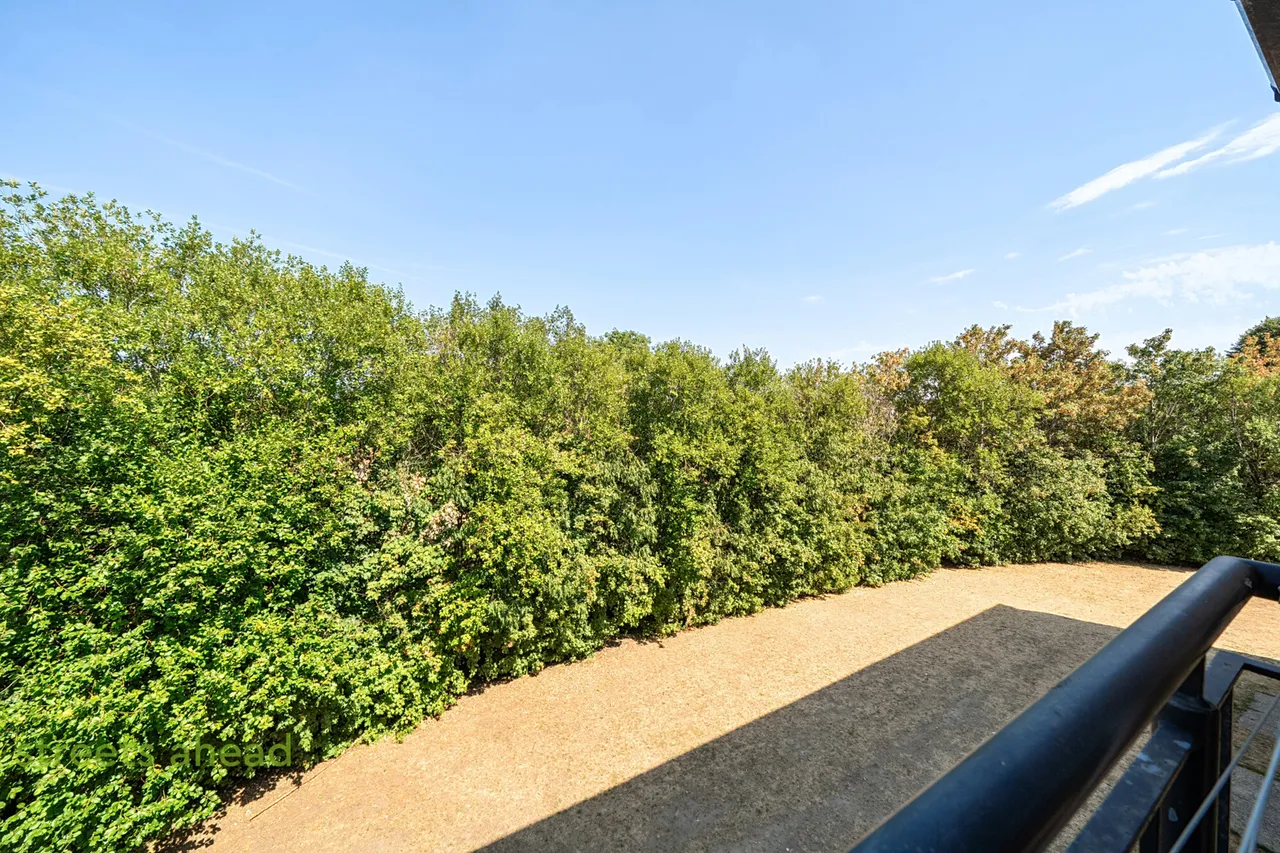 East India Way, Addiscombe, CR0, photo 12