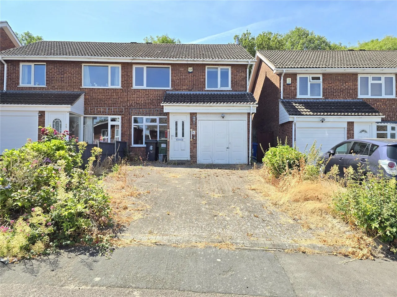 Clematis, Tamworth, Staffordshire, B77, photo 14