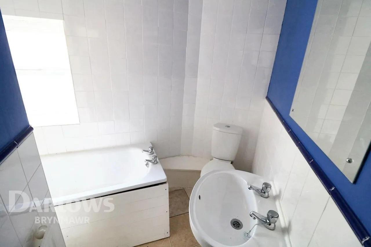 Lower Bailey Street, Brynmawr, photo 10