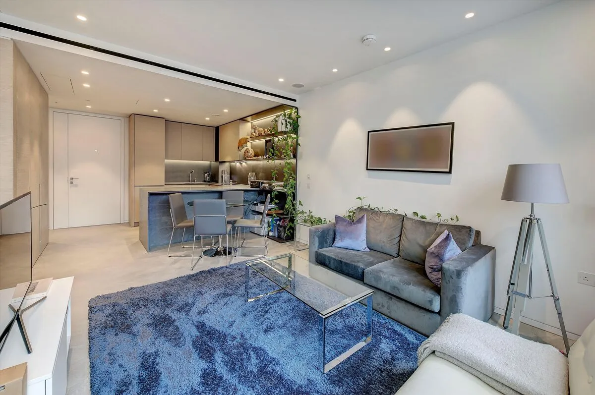 Buckingham Palace Road, Victoria, SW1W, photo 4