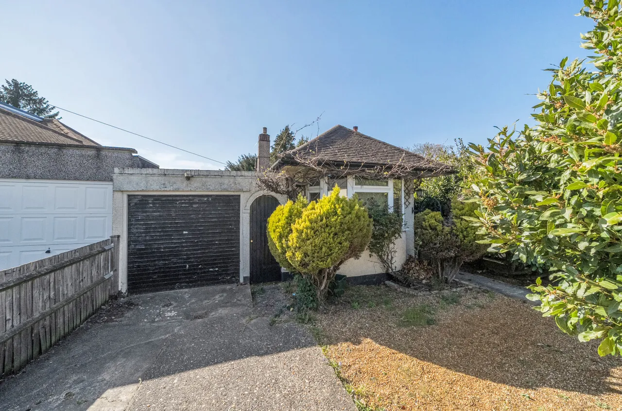 Orpington, photo 15