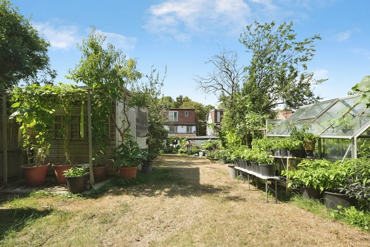 Carden Avenue, Brighton, photo 4
