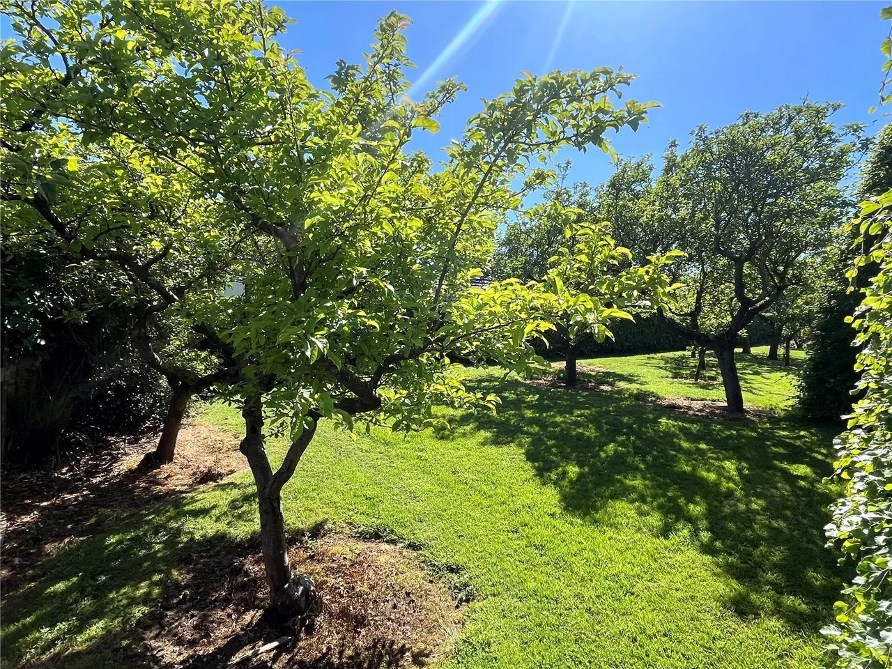 Prospect Drive, Hest Bank, LA2, photo 16