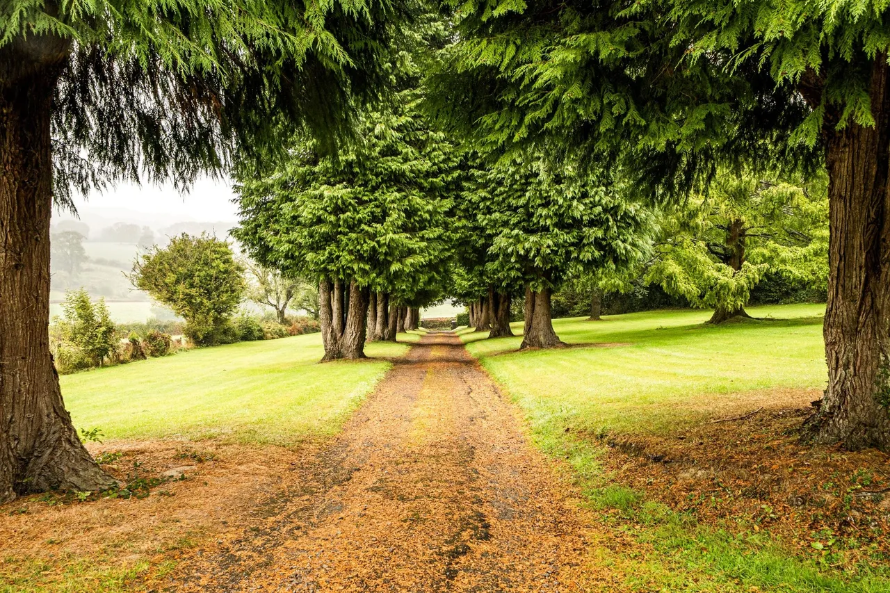 Coedypaen, Pontypool, NP4, photo 20