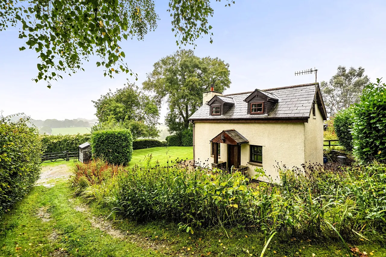Coedypaen, Pontypool, NP4, photo 3