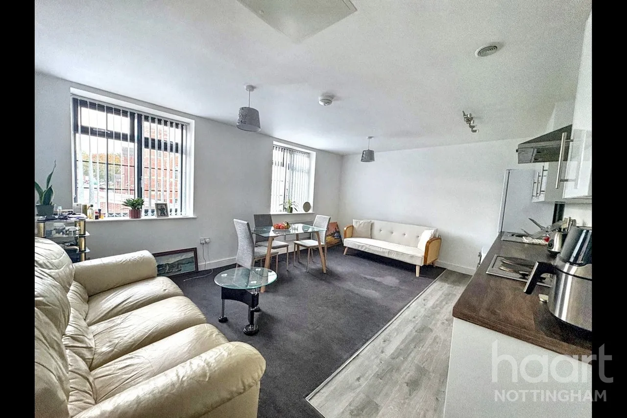 Holland Street, Nottingham, NG7, photo 5