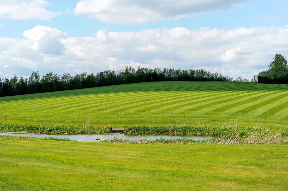 Great Whittington, Newcastle, NE19, photo 37