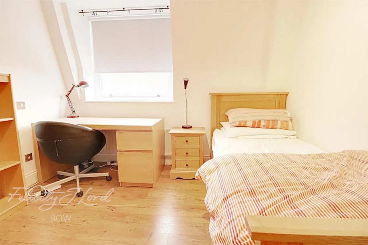 Bow Road, E3, photo 23