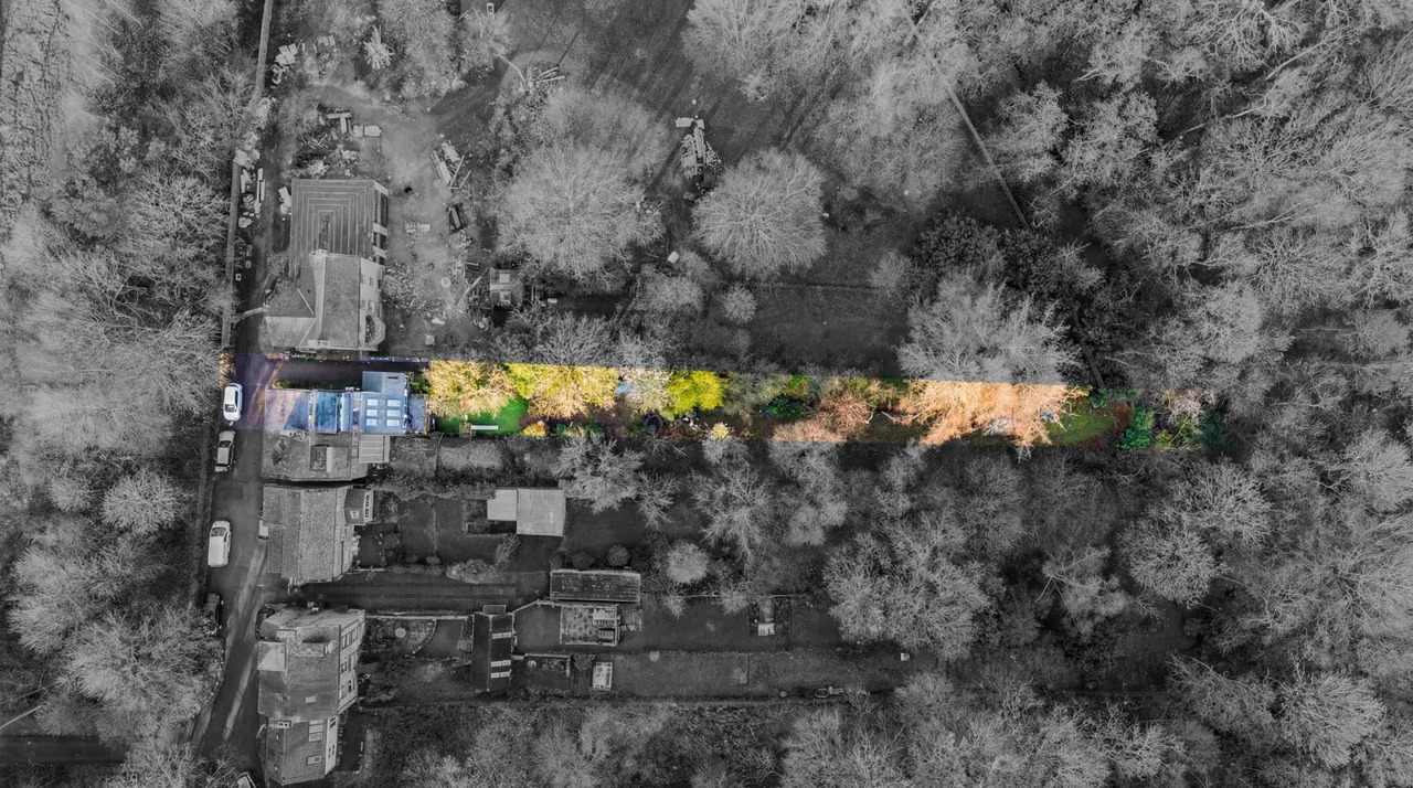 Spring Hill, Adel, LS16, photo 25