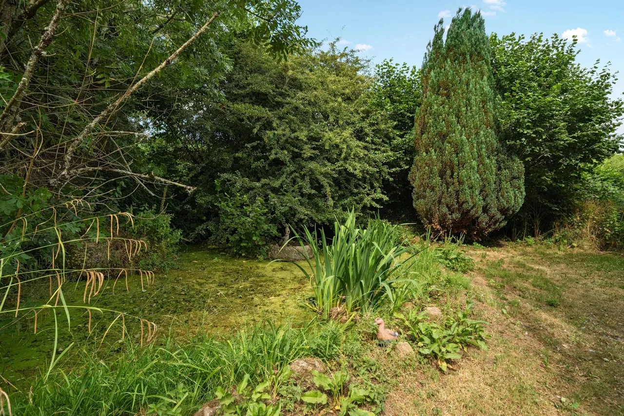 Bovey Tracey, Newton Abbot, TQ13, photo 32