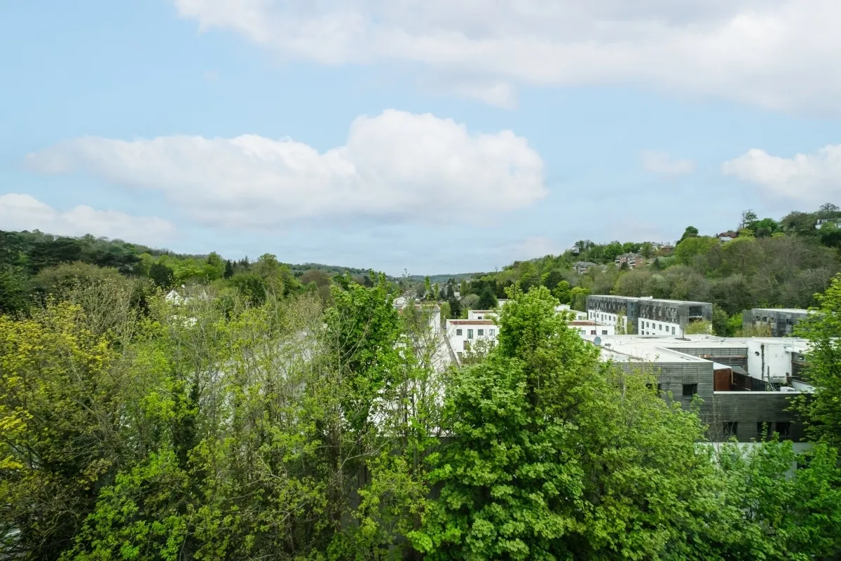 Well Farm Road Whyteleafe CR3, photo 10