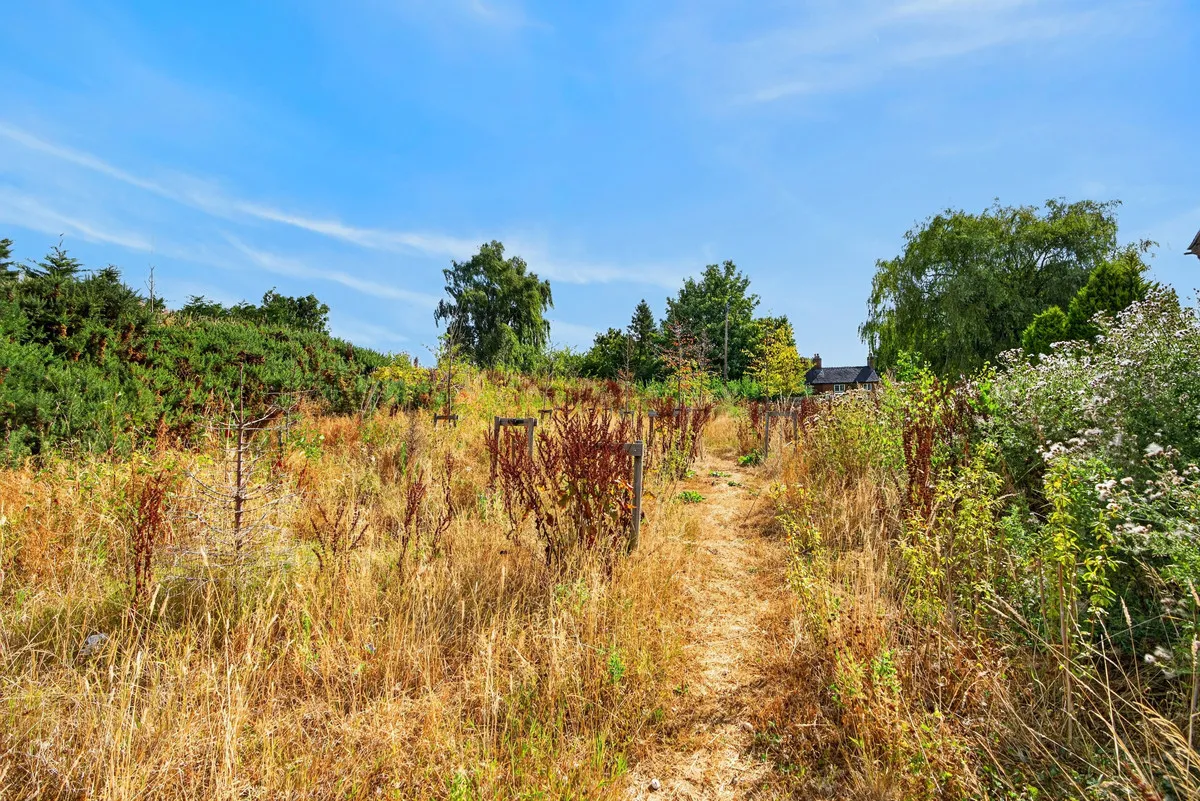 Ashbrook Grove, Sudbury, DE6, photo 35