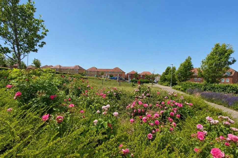 Drift Road, Aylesham, CT3, photo 12