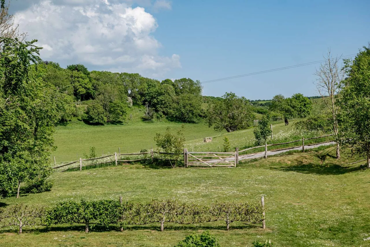 Stourpaine, Blandford Forum, Dorset, DT11 8PW, photo 8