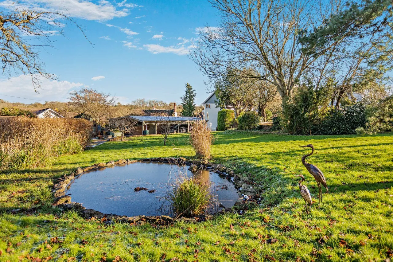 Ogwell, Newton Abbot, TQ12, photo 19