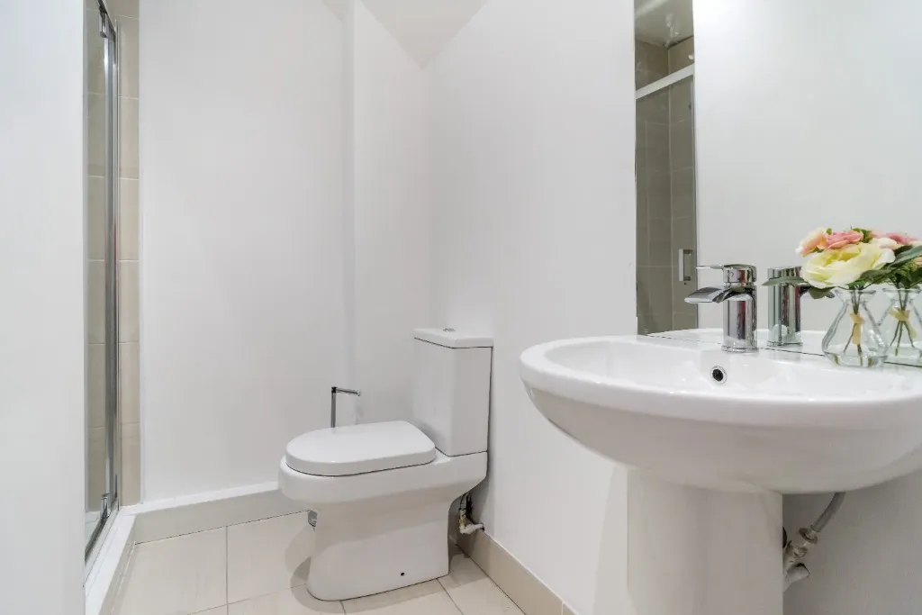 Seedley Park Road, Salford, M6, photo 12