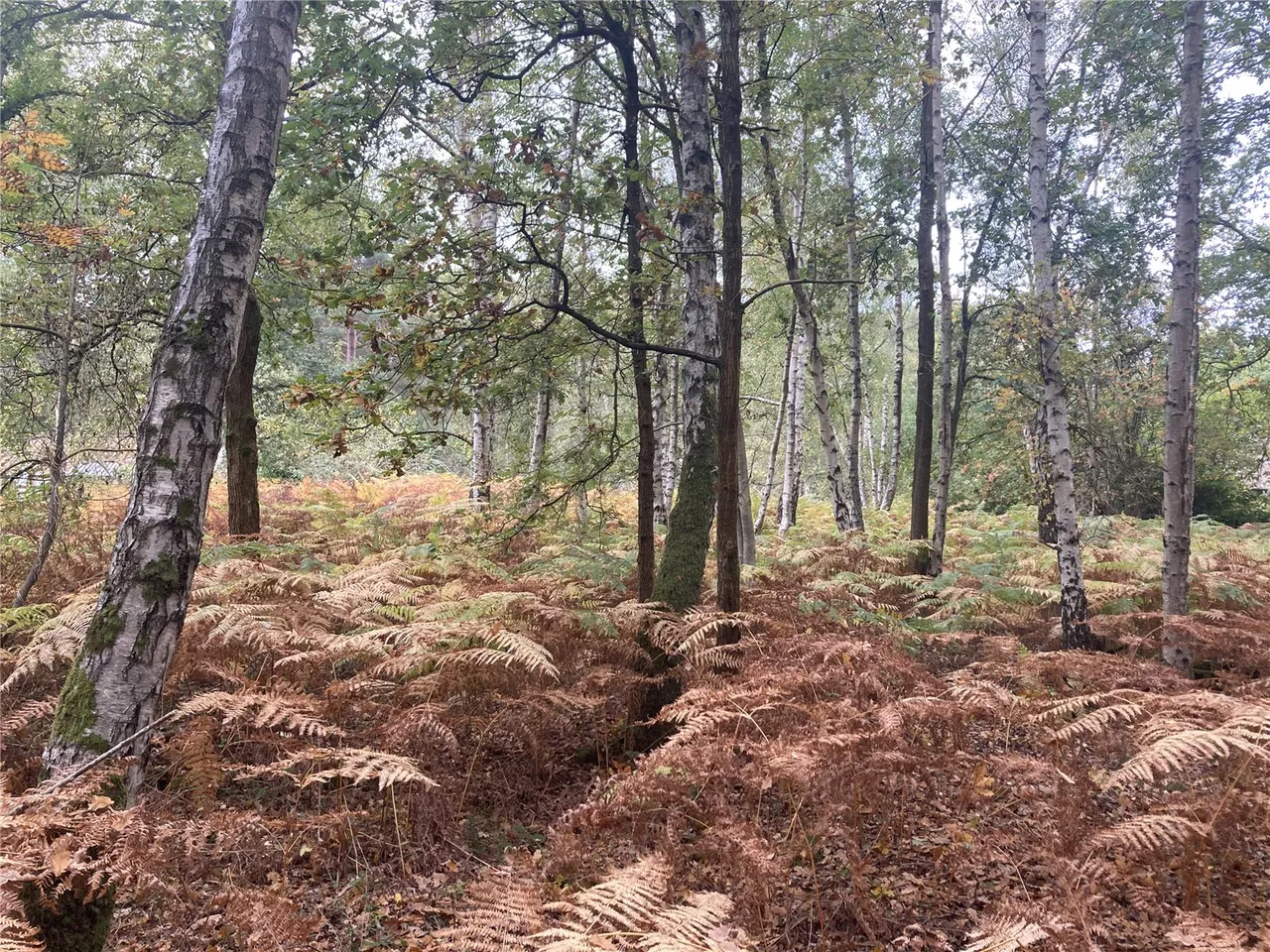 land for sale — Range Road, Finchampstead, Wokingham, Berkshire, RG40 3NR