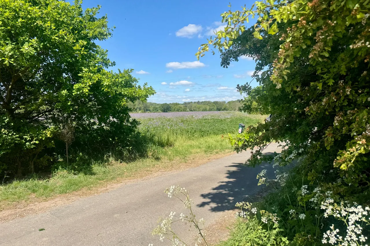 Hawes Lane, Norton, photo 15