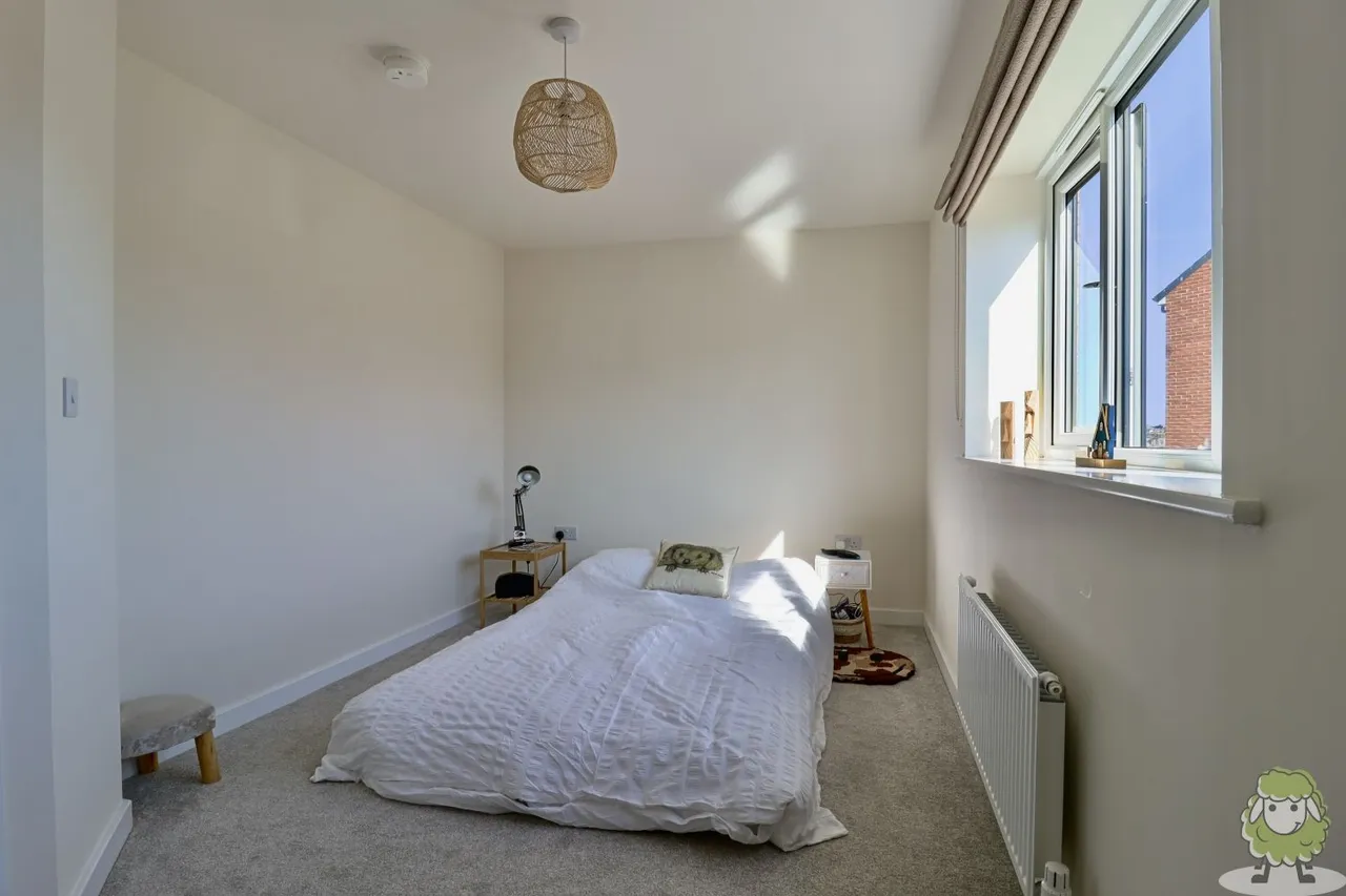 Rose Hill Drive, South Shields, NE33, photo 11
