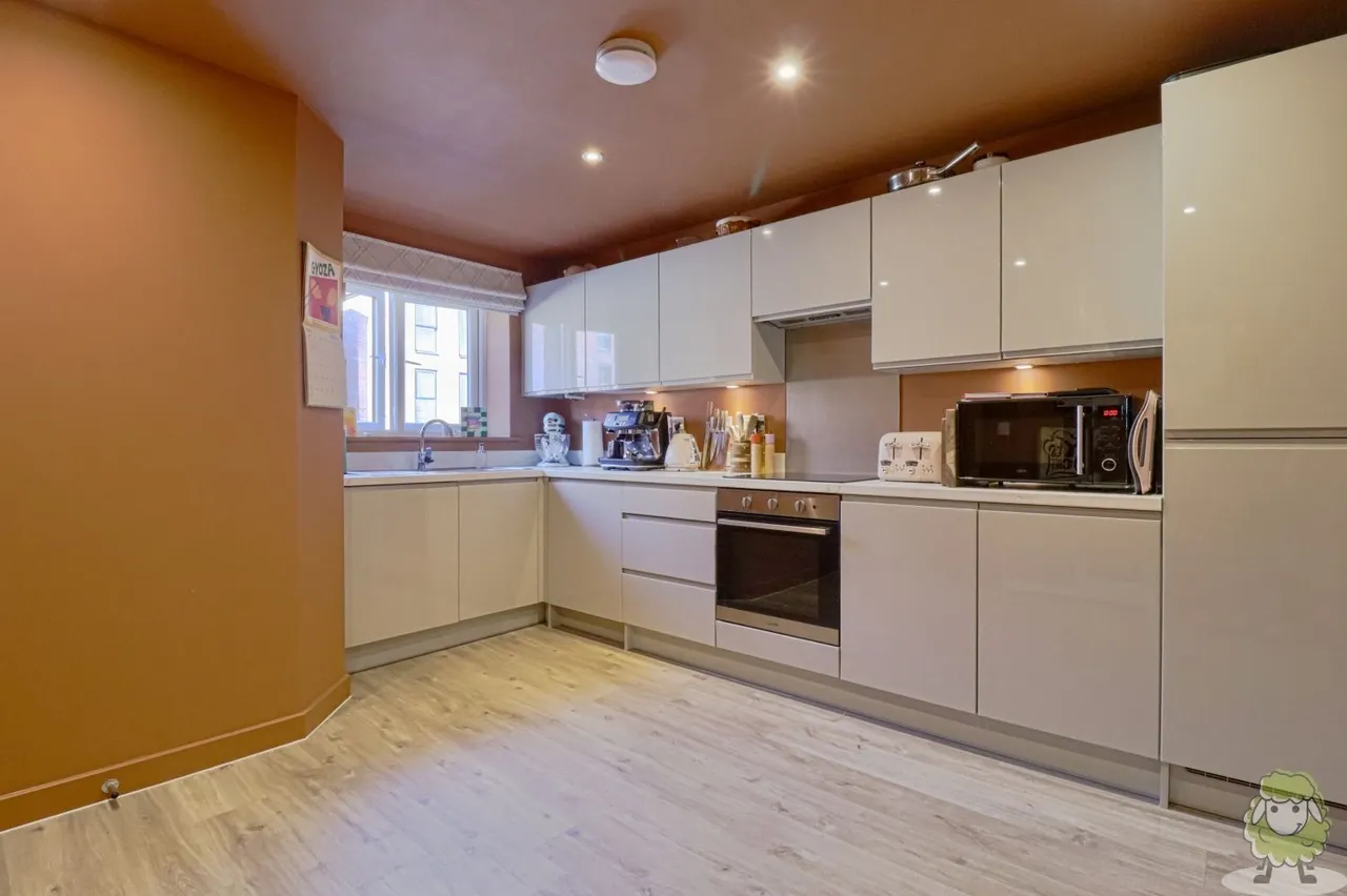 Rose Hill Drive, South Shields, NE33, photo 6