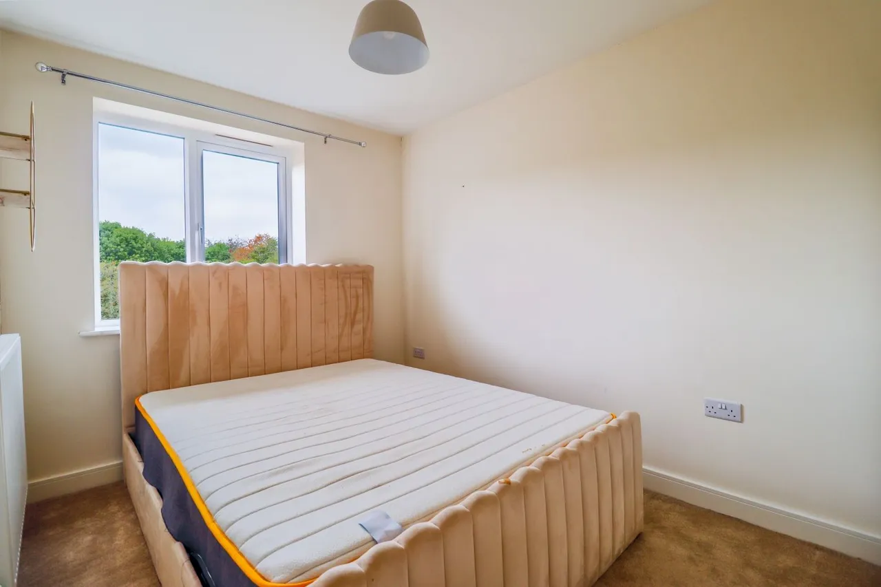 Silver Birch Way, Wingerworth, S42, photo 9