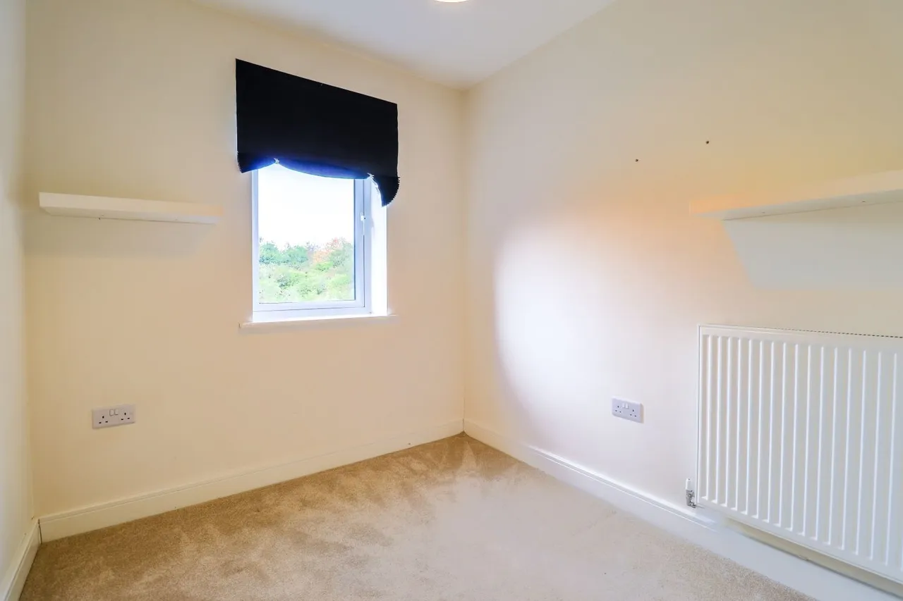 Silver Birch Way, Wingerworth, S42, photo 11