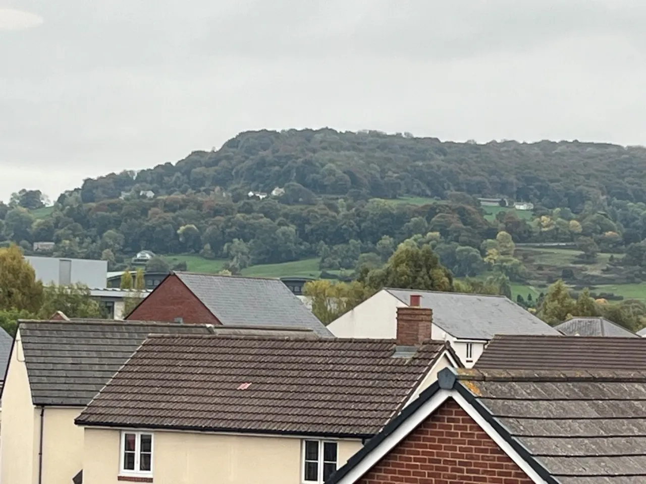 Bowthorpe Drive, Gloucester, GL3, photo 8