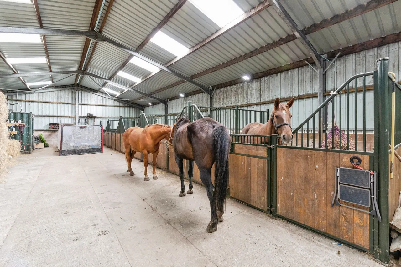 Longframlington, Morpeth, NE65, photo 8