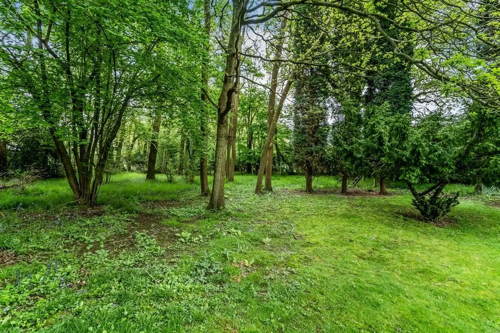 Newdigate Road, Beare Green, RH5, photo 20