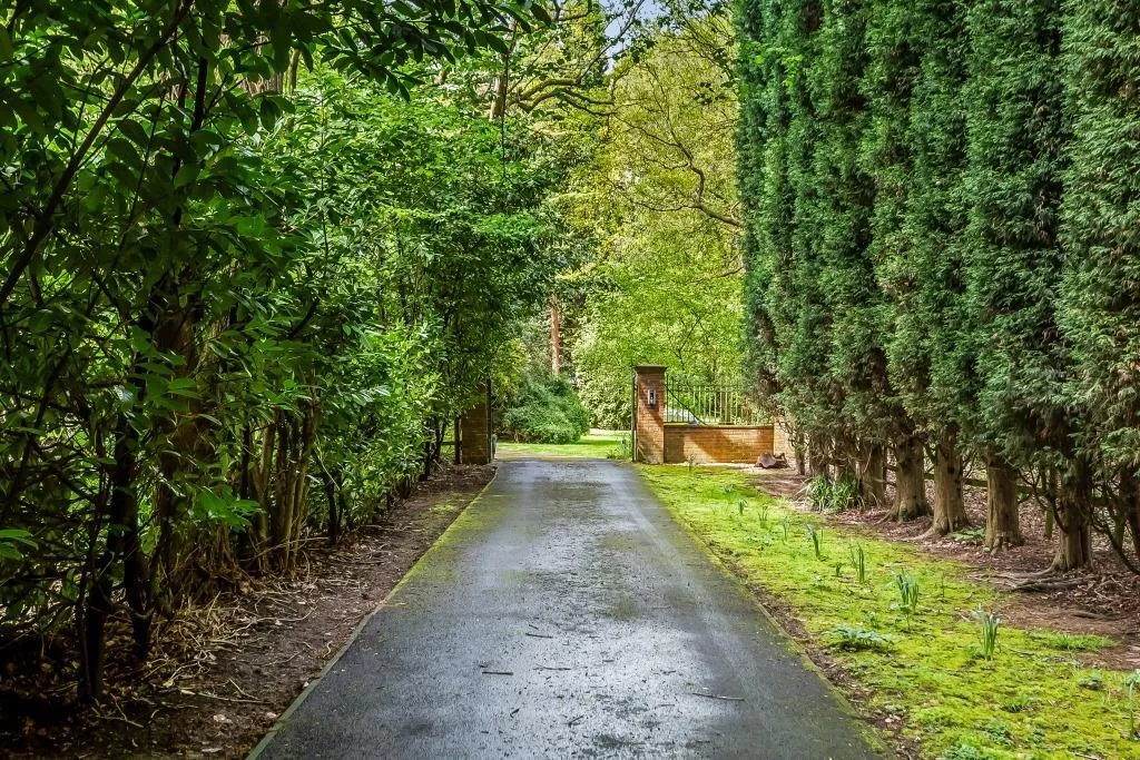 Newdigate Road, Beare Green, RH5, photo 7