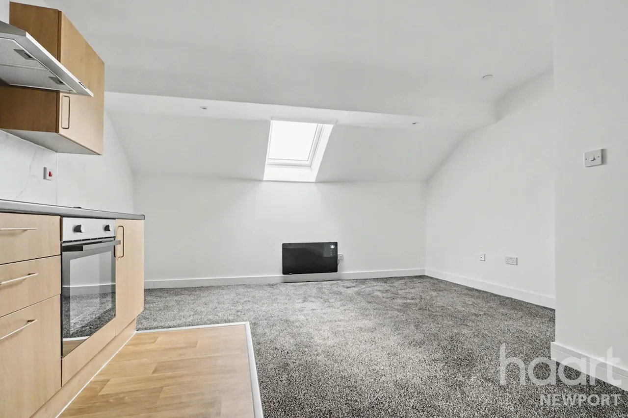 Commercial Street, NP20, photo 5