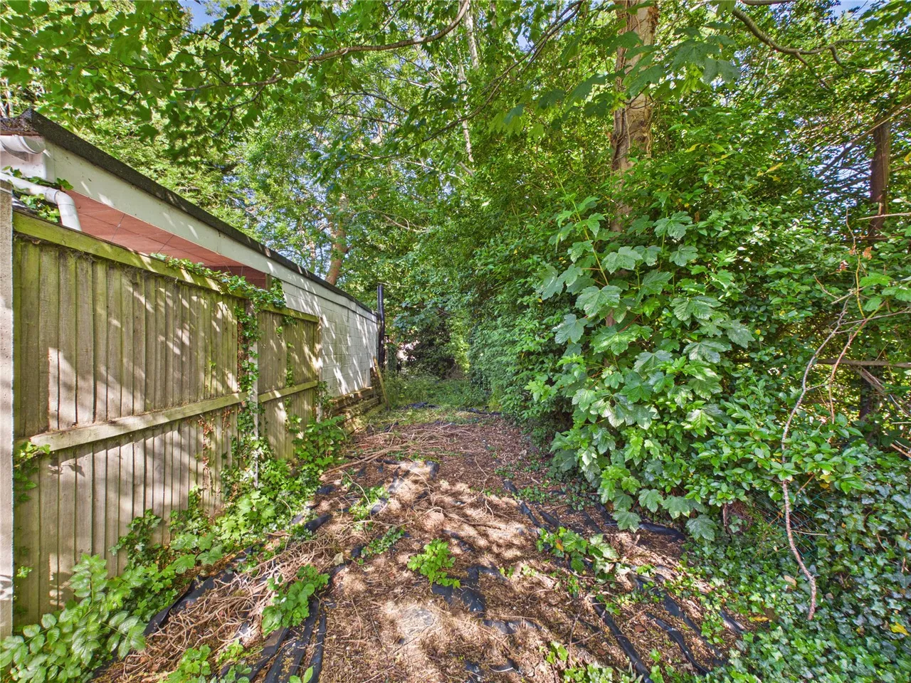 Wallace Road, Ipswich, IP1, photo 11