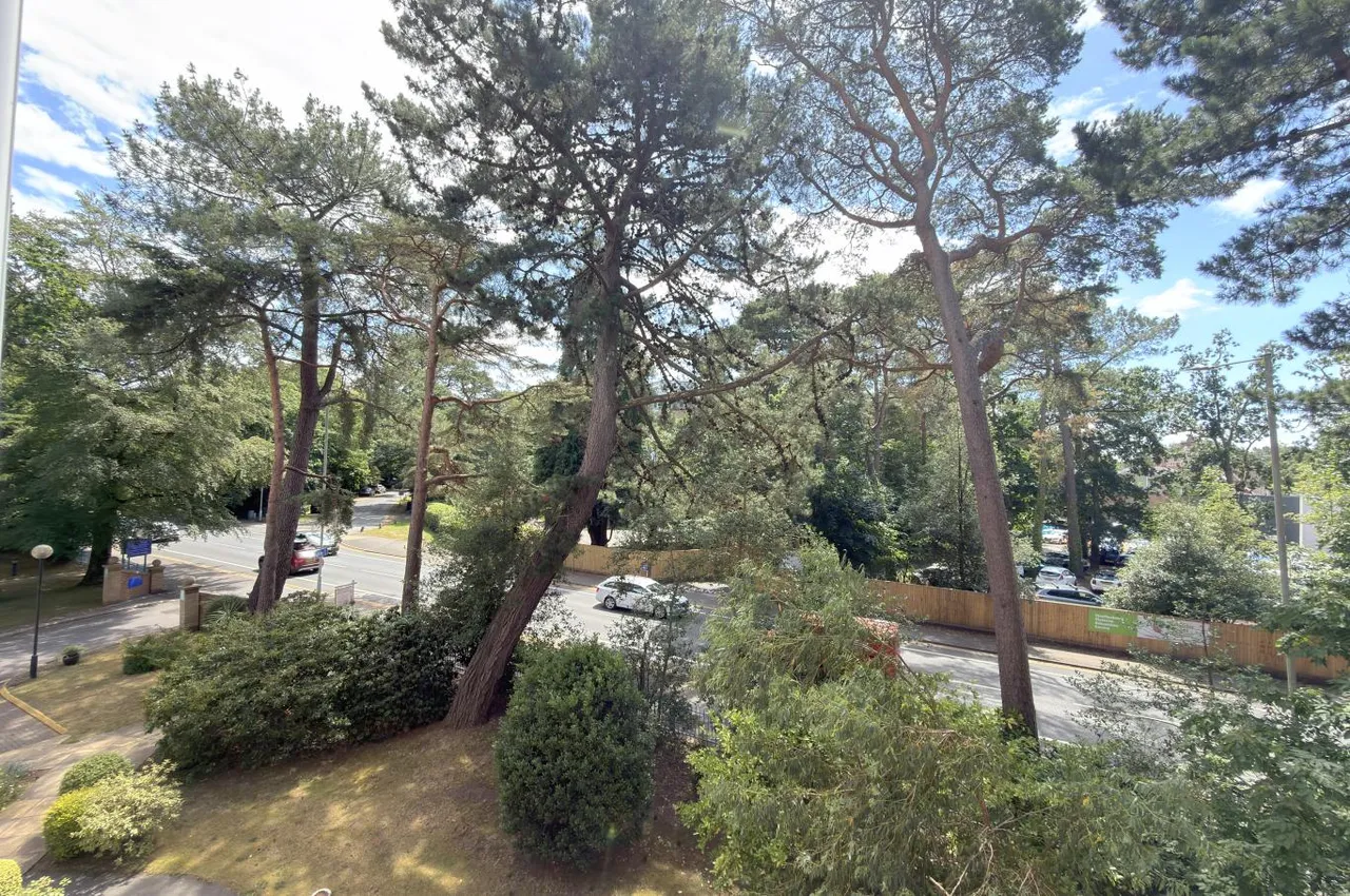 Melton Court, BH13, photo 5