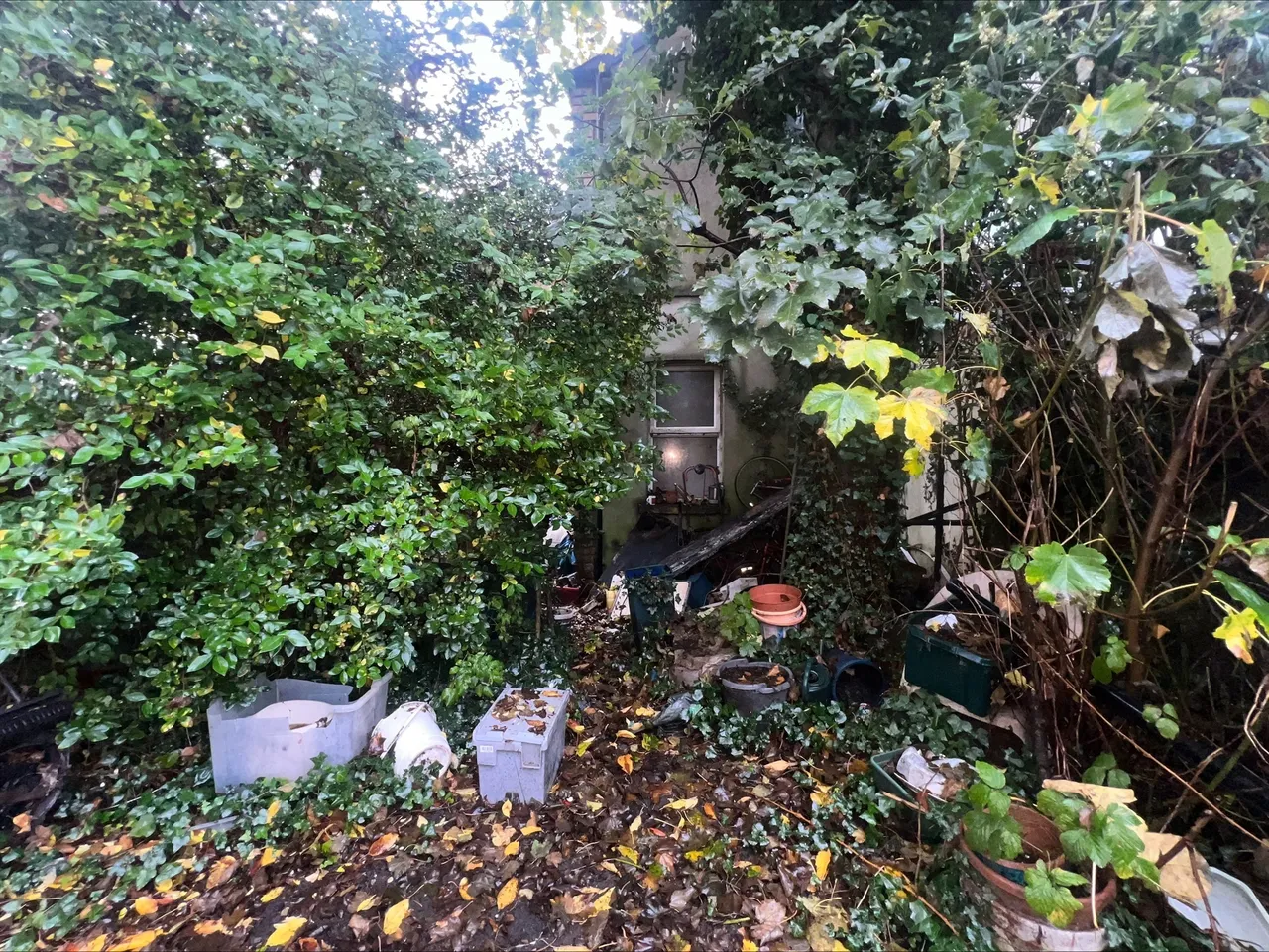 Claude Road, Roath, Cardiff, photo 3