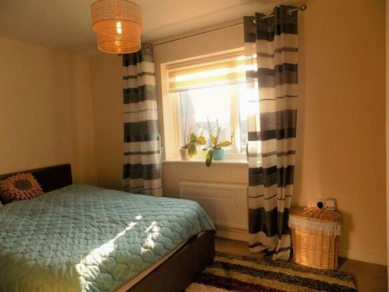 Jersey Gardens, Nottingham, NG3, photo 8